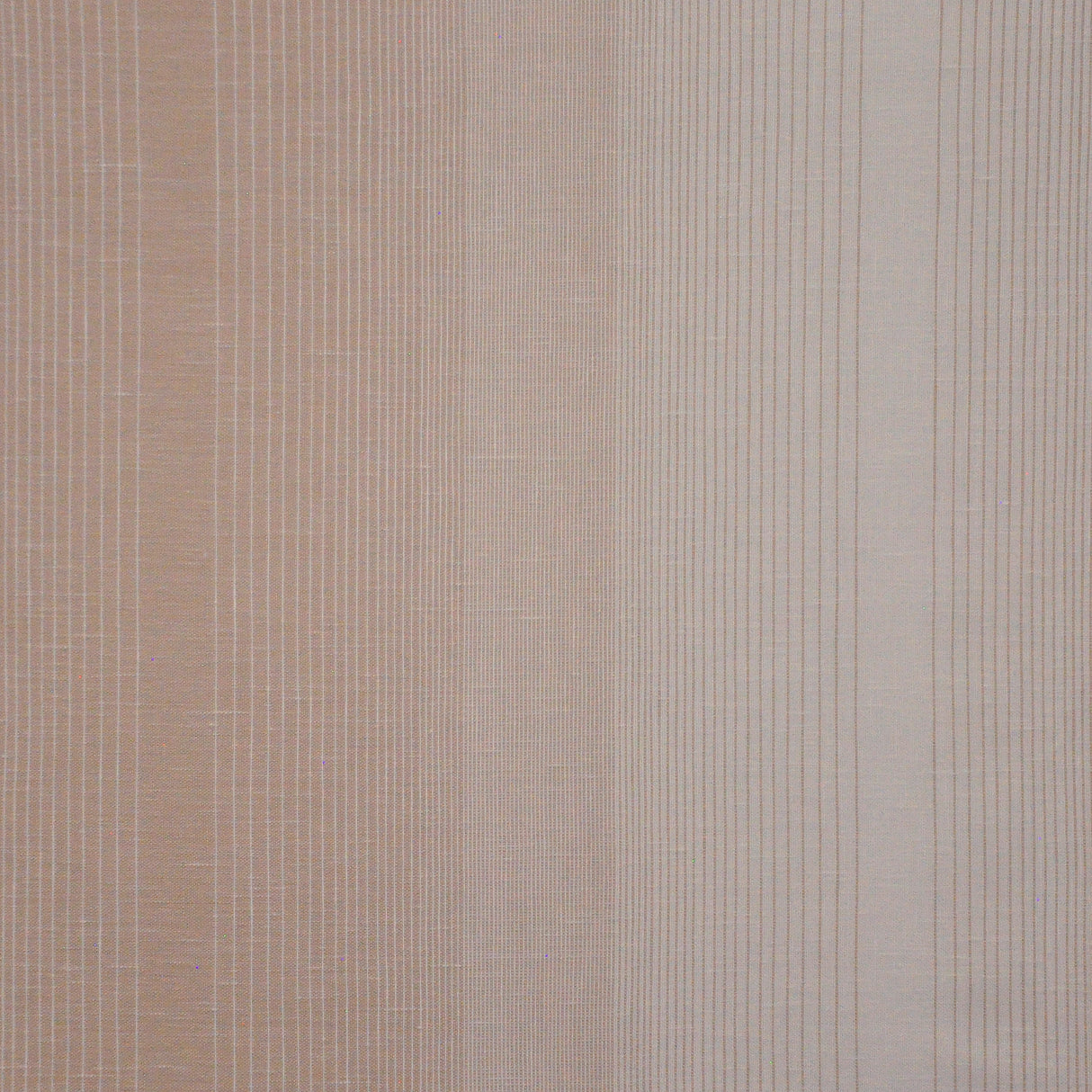 Eade’s # 534 PETAL