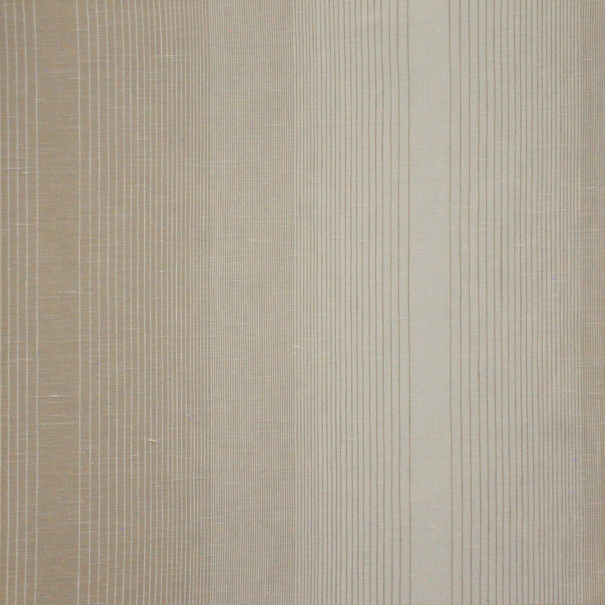 Eade’s # 537 BIRCH