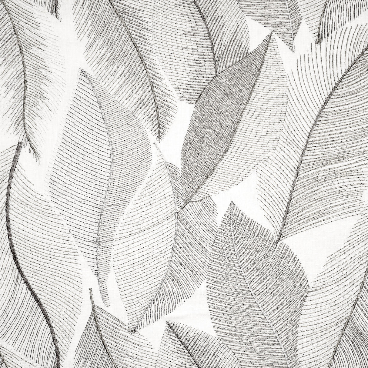 Eade’s # 231 CHINCHILLA