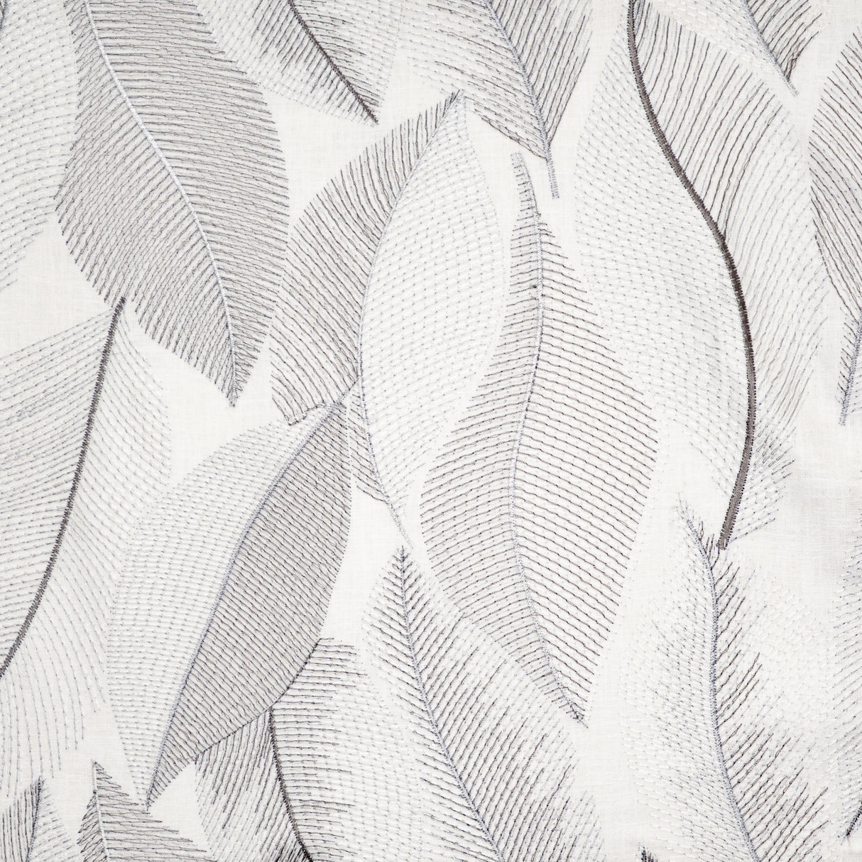 Eade’s # 407 ZEPHYR