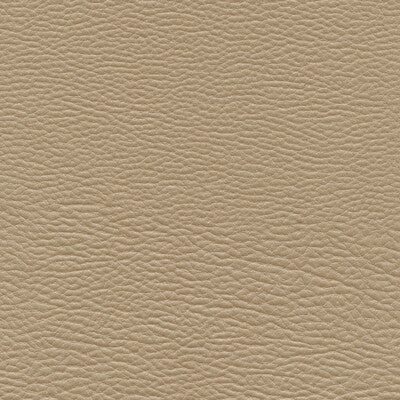 KRAVET DESIGN MASHAK.106.0 KRAVET DESIGN MASHAK-106 Fabric - FAUX LEATHER IV