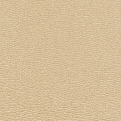 KRAVET DESIGN MASHAK.11.0 KRAVET DESIGN MASHAK-11 Fabric - FAUX LEATHER IV