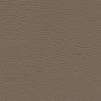 KRAVET DESIGN MASHAK.21.0 KRAVET DESIGN MASHAK-21 Fabric - FAUX LEATHER IV