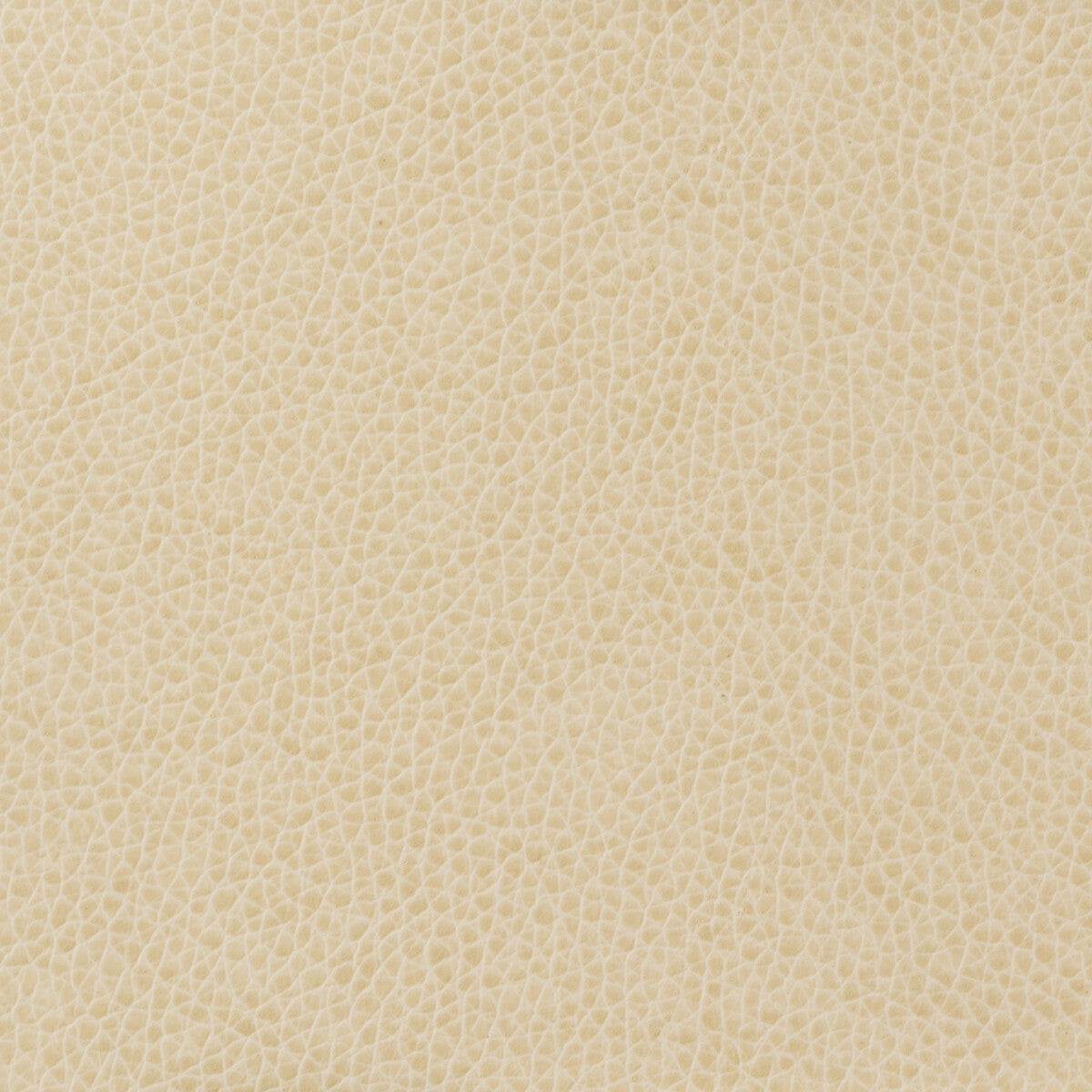 KRAVET BASICS MATTER.111.0 KRAVET BASICS MATTER-111 Fabric - Eade's Wallpaper