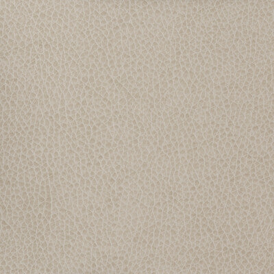 KRAVET BASICS MATTER.11.0 KRAVET BASICS MATTER-11 Fabric - Eade's Wallpaper