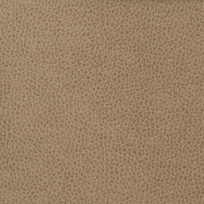 KRAVET BASICS MATTER.1611.0 KRAVET BASICS MATTER-1611 Fabric - Eade's Wallpaper
