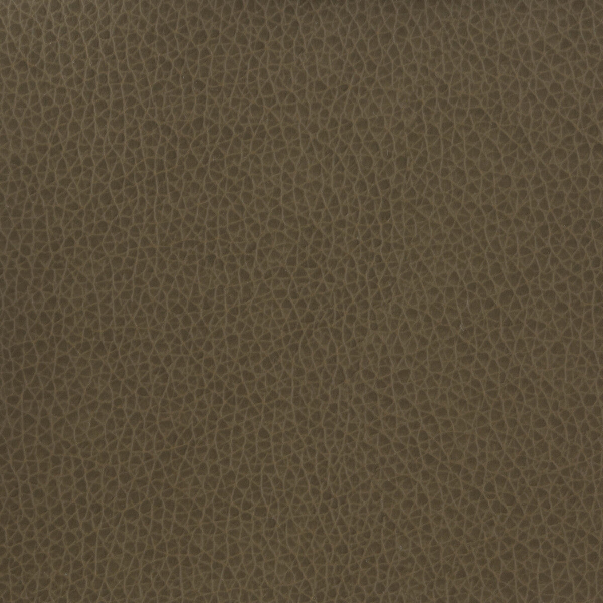 KRAVET BASICS MATTER.21.0 KRAVET BASICS MATTER-21 Fabric - Eade's Wallpaper