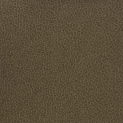 KRAVET BASICS MATTER.21.0 KRAVET BASICS MATTER-21 Fabric - Eade's Wallpaper