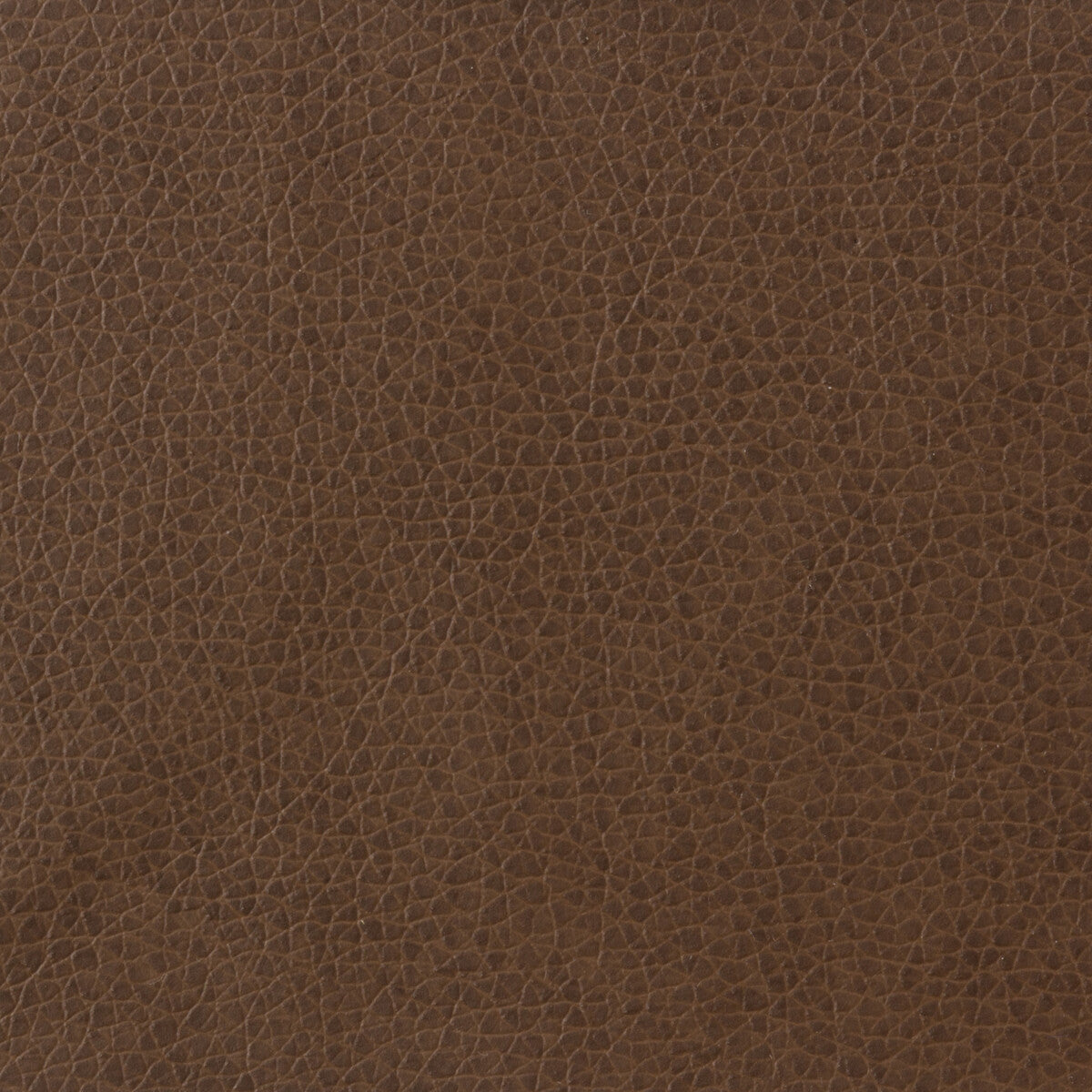 KRAVET BASICS MATTER.6.0 KRAVET BASICS MATTER-6 Fabric - Eade's Wallpaper