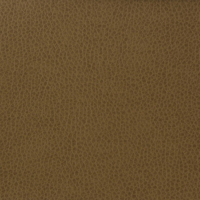 KRAVET BASICS MATTER.606.0 KRAVET BASICS MATTER-606 Fabric - Eade's Wallpaper