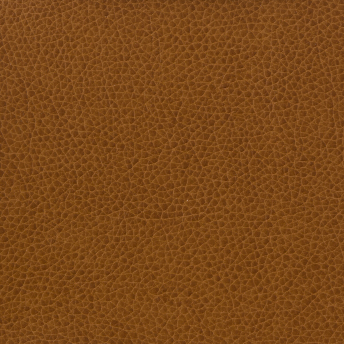 KRAVET BASICS MATTER.616.0 KRAVET BASICS MATTER-616 Fabric - Eade's Wallpaper