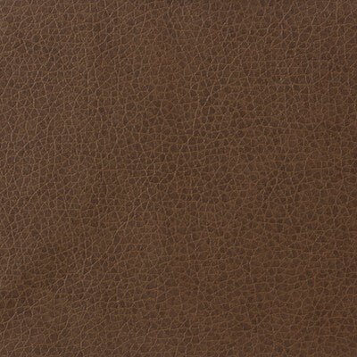 KRAVET BASICS MATTER.6.0 KRAVET BASICS MATTER-6 Fabric - Eade's Wallpaper