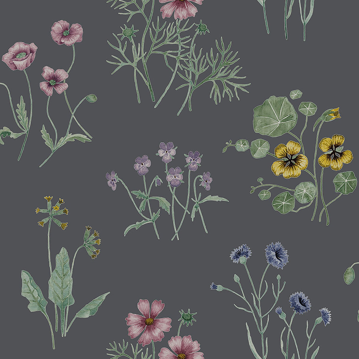 Midbec MD27024 Maj Blue Wildflower Wallpaper
