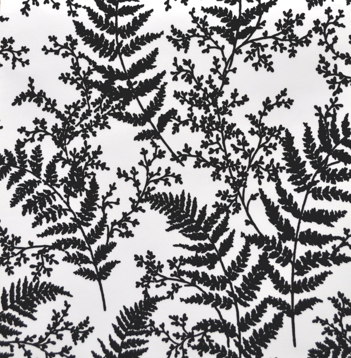 York ME1583 Forest Fern Flock Black Wallpaper