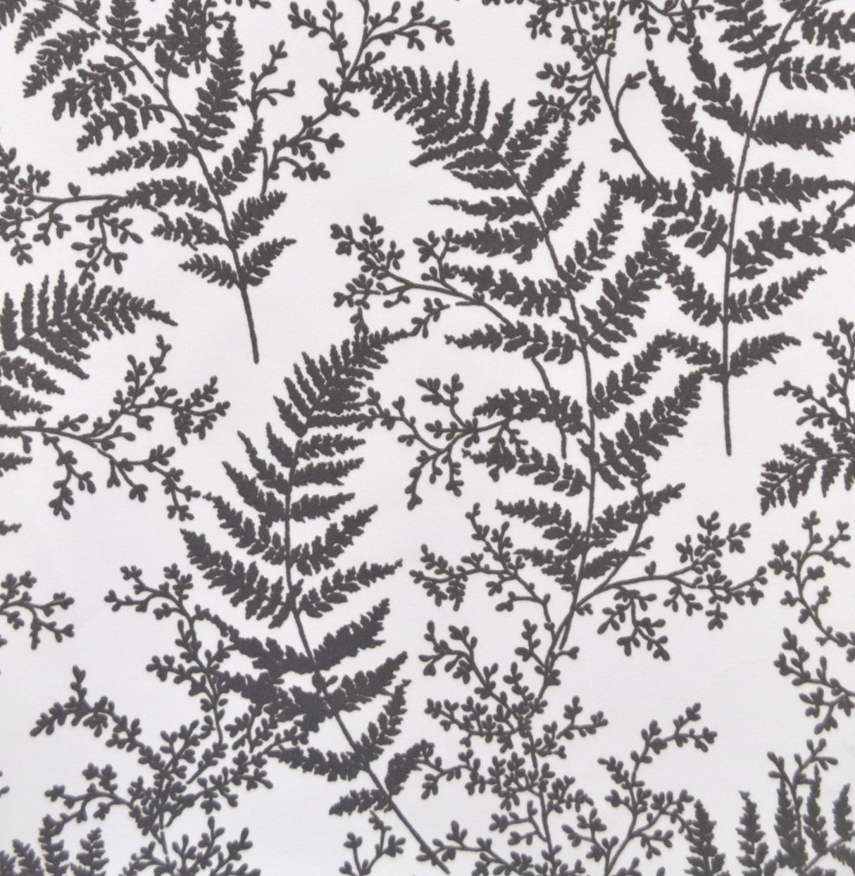 York ME1584 Forest Fern Flock Grey Wallpaper