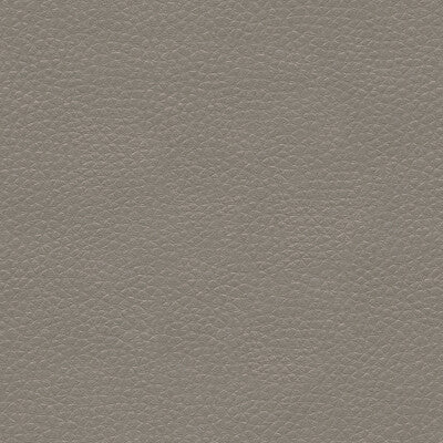 KRAVET COUTURE METALISKIN.11.0 METALISKIN PEWTER Fabric - Eade's Wallpaper