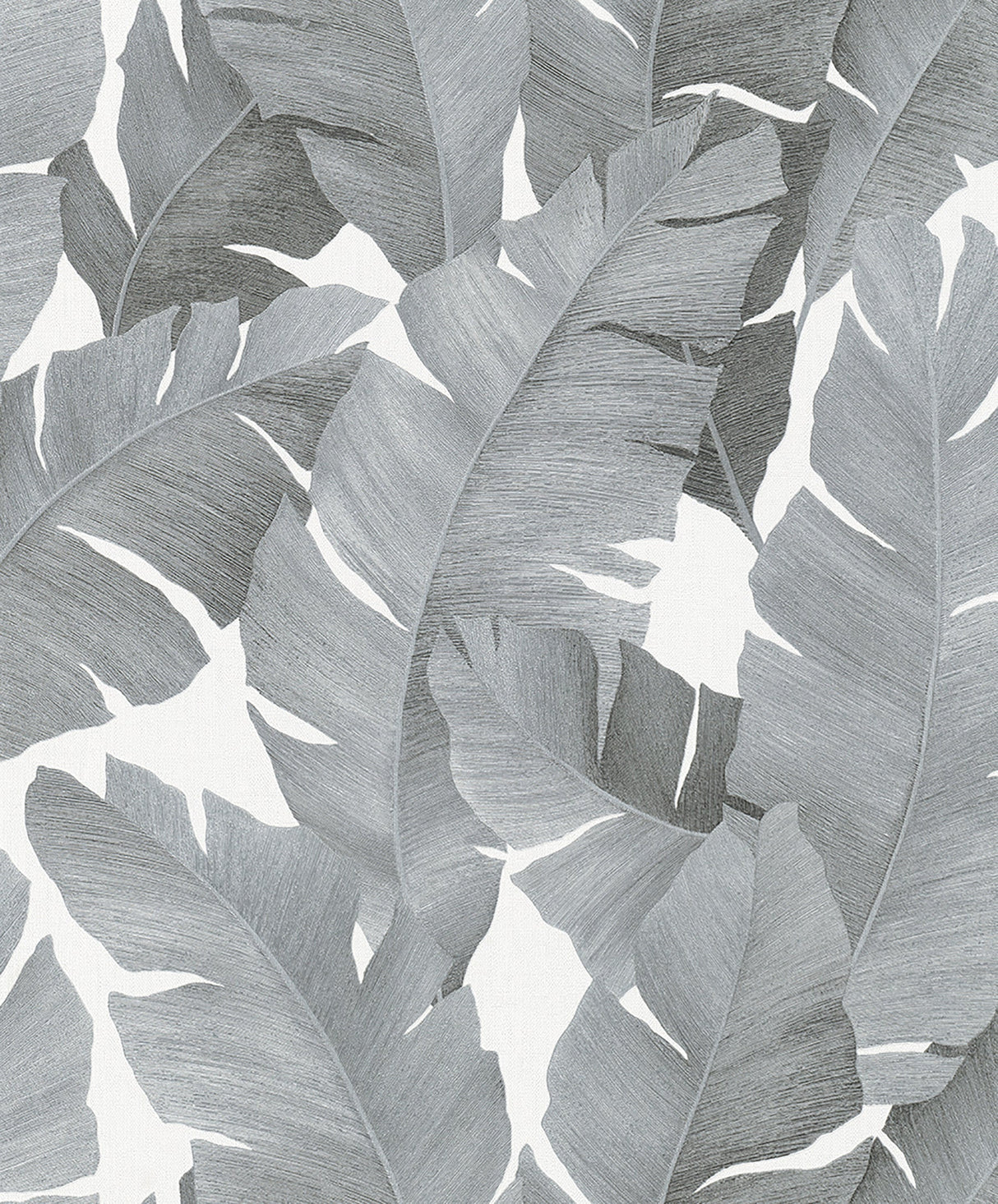 Marburg MG31624 Attalea Grey Palm Leaf Wallpaper