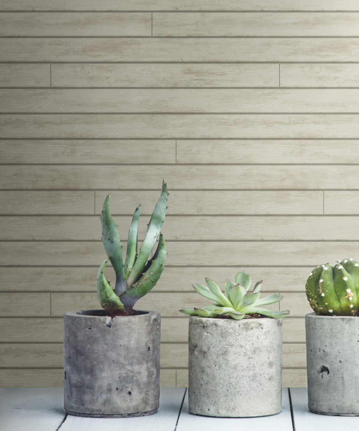 York MH1567 Skinnylap Grey & Brown Wallpaper