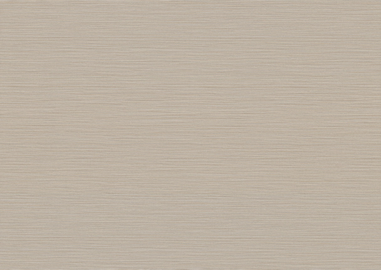 York MI10373 Cannete Grey Wallpaper