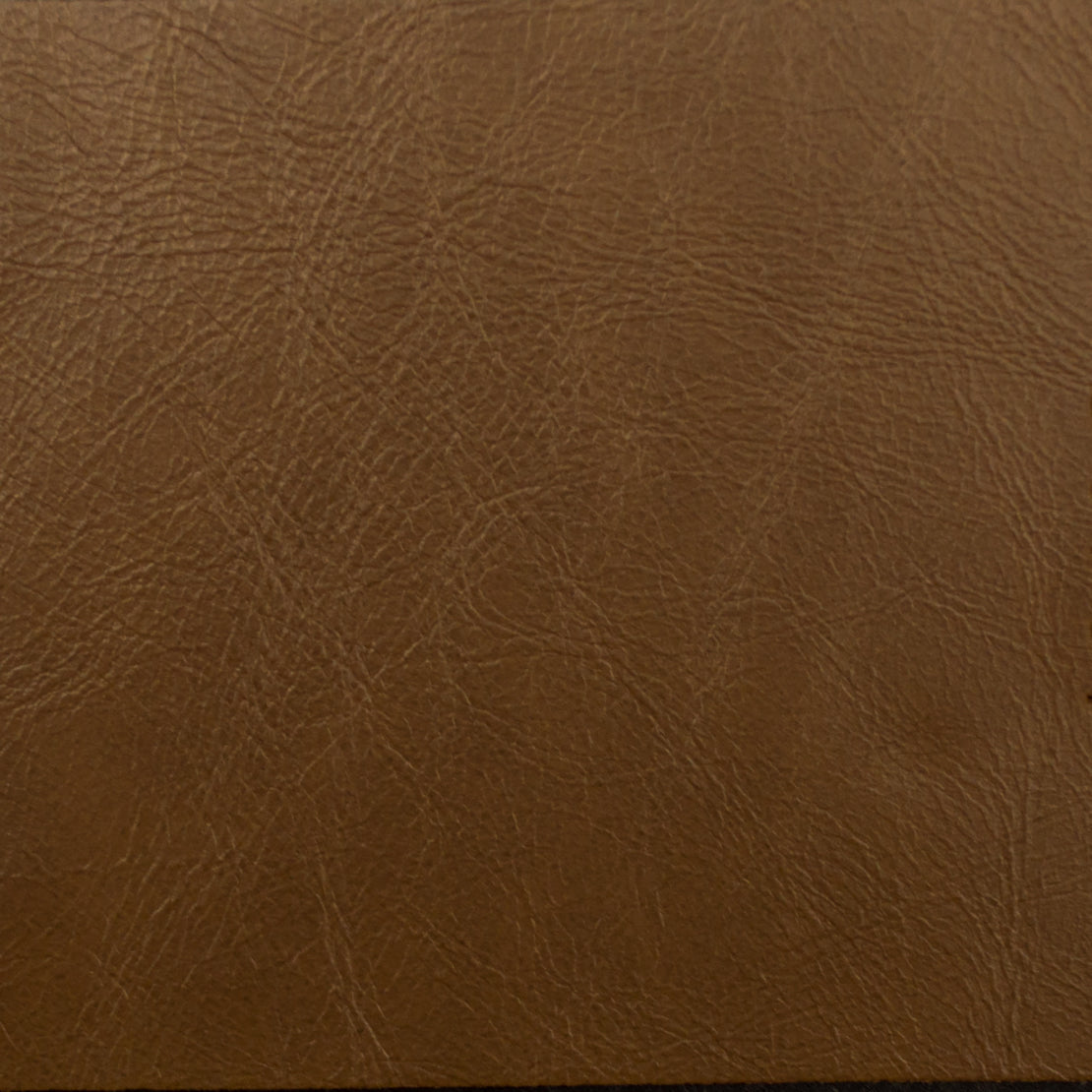 Eade’s MILES CHESTNUT CHESTNUT