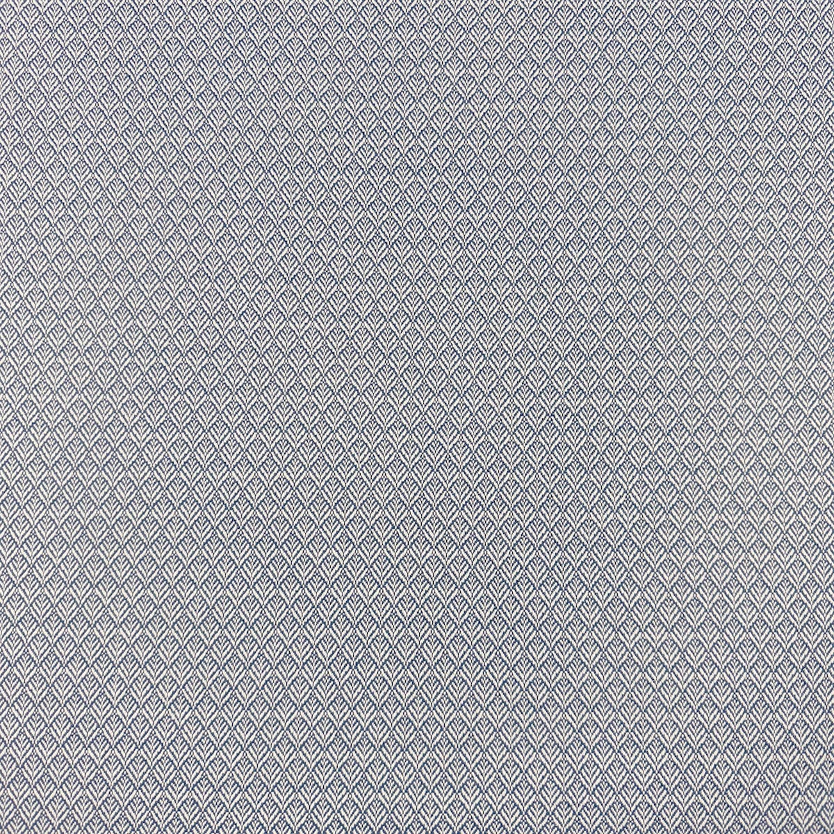 Eade’s MIMUS CORNFLOWER CORNFLOWER