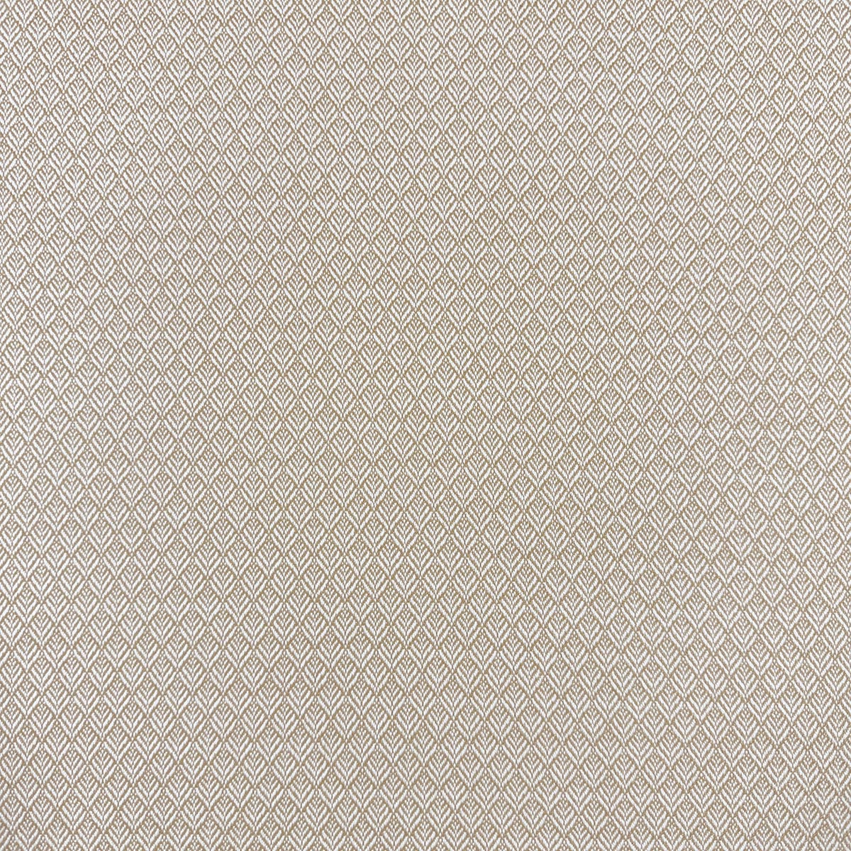 Eade’s MIMUS HONEY HONEY