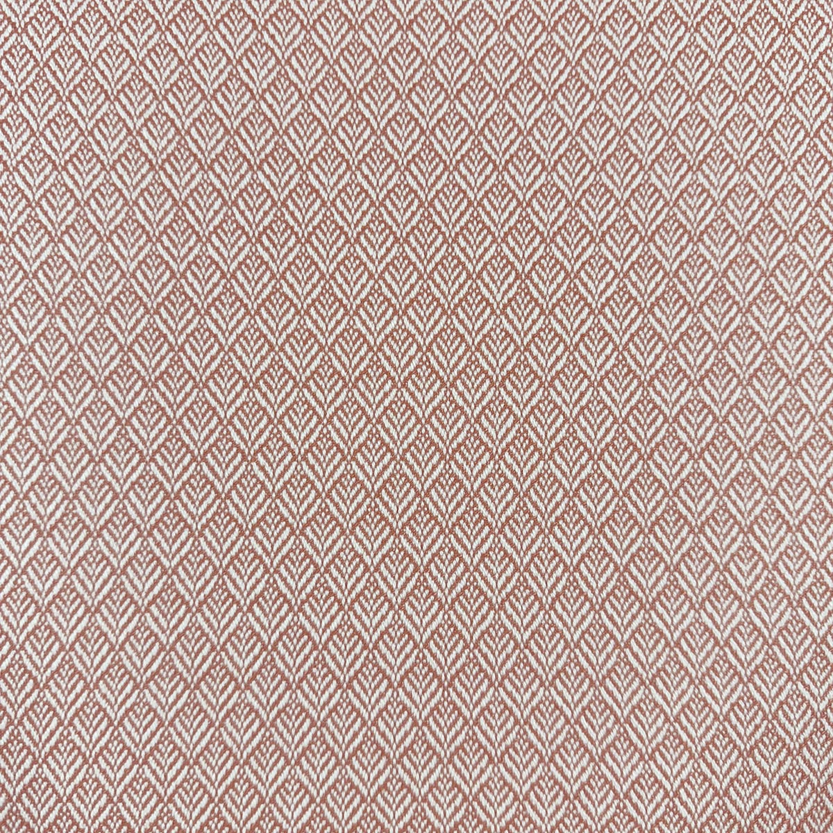 Eade’s MIMUS PUNCH PUNCH