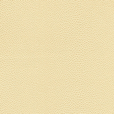 KRAVET DESIGN MINDY.1101.0 KRAVET DESIGN MINDY-1101 Fabric - FAUX LEATHER IV