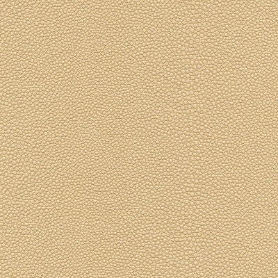 KRAVET DESIGN MINDY.1611.0 KRAVET DESIGN MINDY-1611 Fabric - FAUX LEATHER IV
