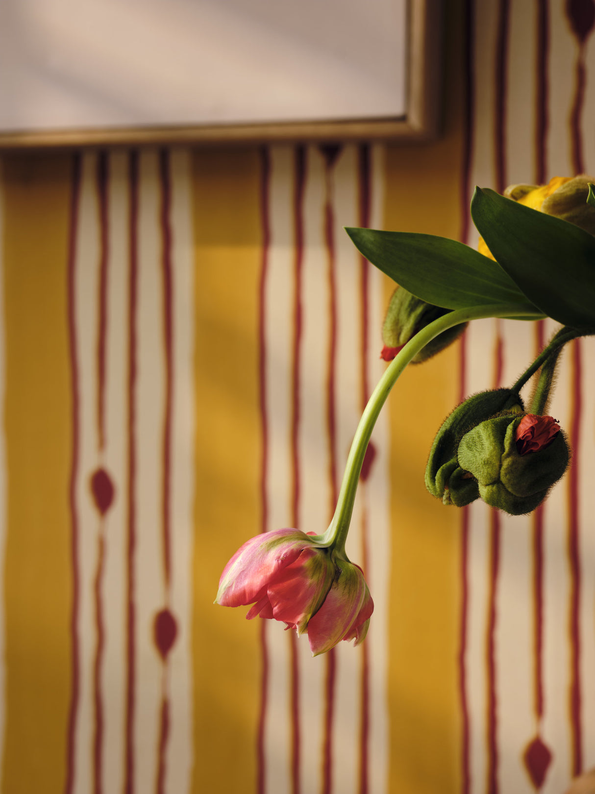 MindtheGap MINUANO Lemon - Wallpaper Collection 2025 - Jazz Live