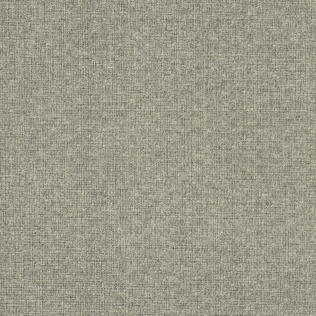 Eade’s Brindled Shadow