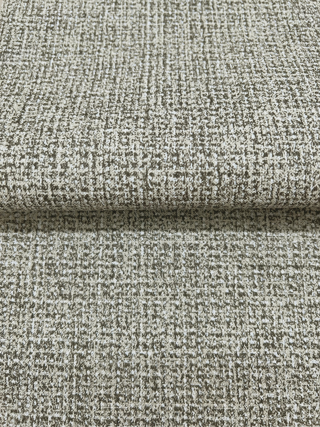 Eade’s Brindled Shadow