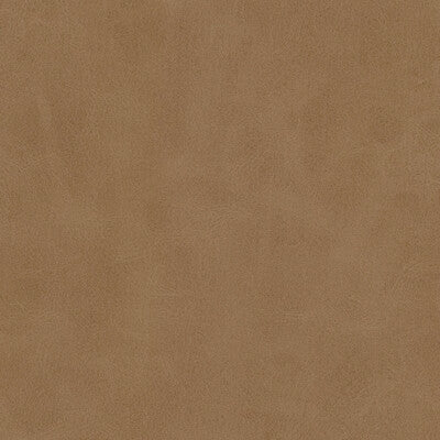KRAVET DESIGN MOJARI.106.0 KRAVET DESIGN MOJARI-106 Fabric - FAUX LEATHER IV