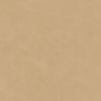 KRAVET DESIGN MOJARI.11.0 KRAVET DESIGN MOJARI-11 Fabric - FAUX LEATHER IV