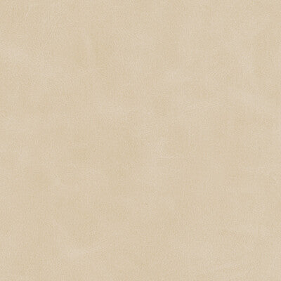 KRAVET DESIGN MOJARI.1101.0 KRAVET DESIGN MOJARI-1101 Fabric - FAUX LEATHER IV