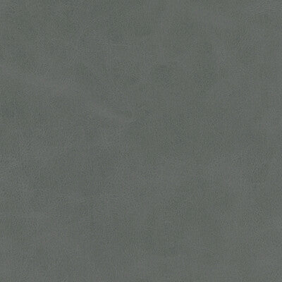 KRAVET DESIGN MOJARI.52.0 KRAVET DESIGN MOJARI-52 Fabric - FAUX LEATHER IV