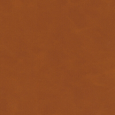 KRAVET DESIGN MOJARI.6.0 KRAVET DESIGN MOJARI-6 Fabric - FAUX LEATHER IV