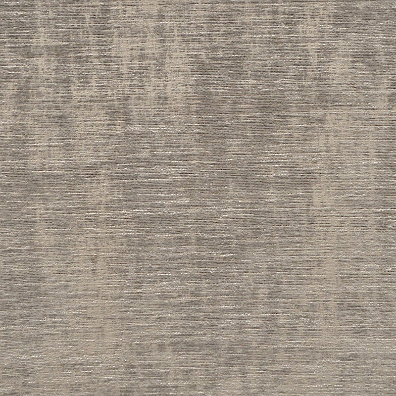 Eade’s MONSEUR GRAY GRAY