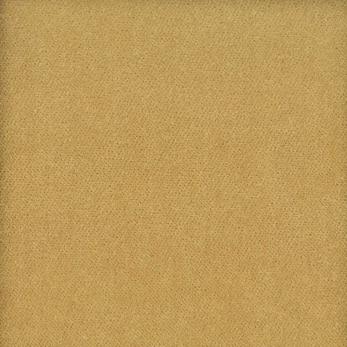 Eade's MOOR-1-sample CARAMEL