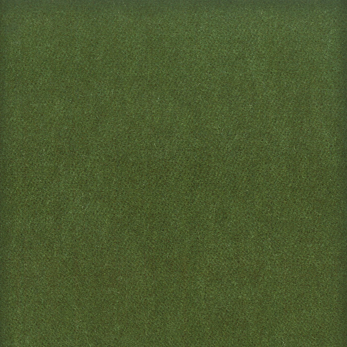 Eade's MOOR-14-sample BOXWOOD