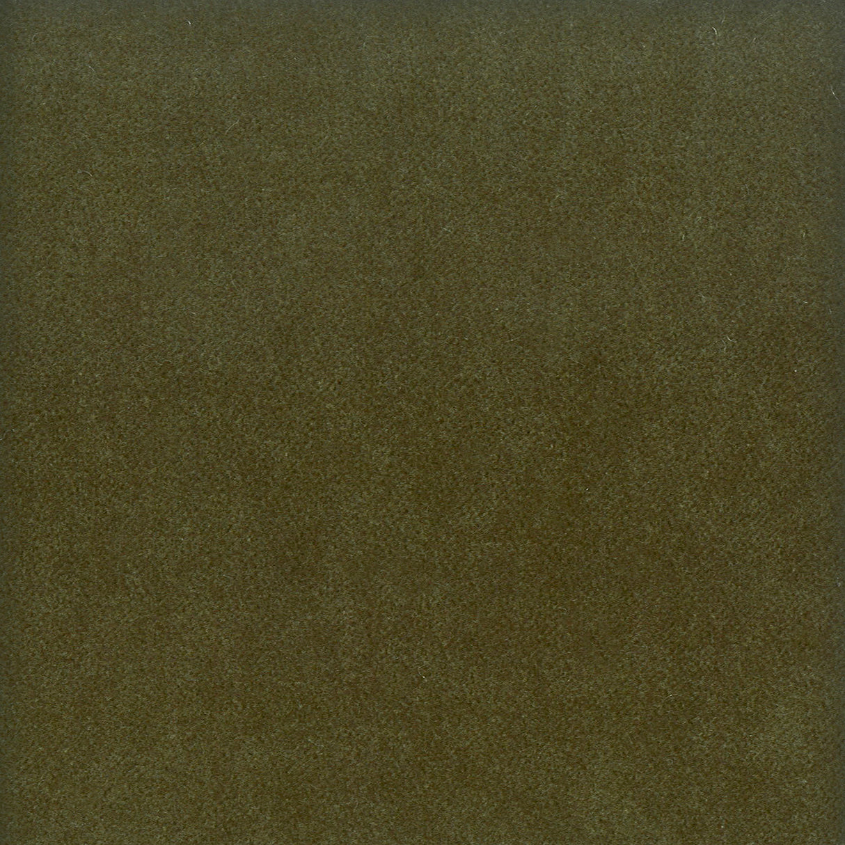 Eade's MOOR-2-sample JUNGLE