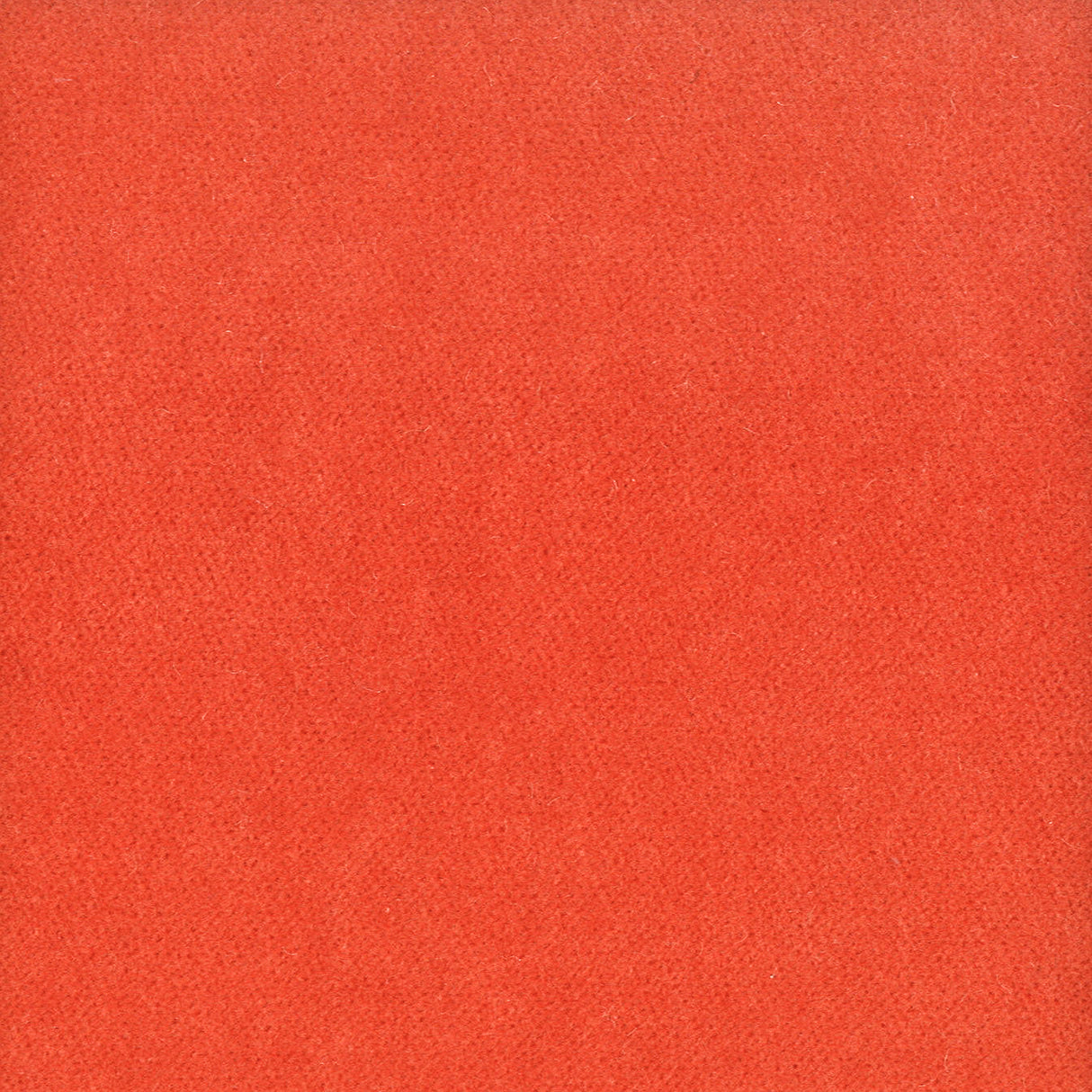 Eade's MOOR-36-sample TIGERLILY