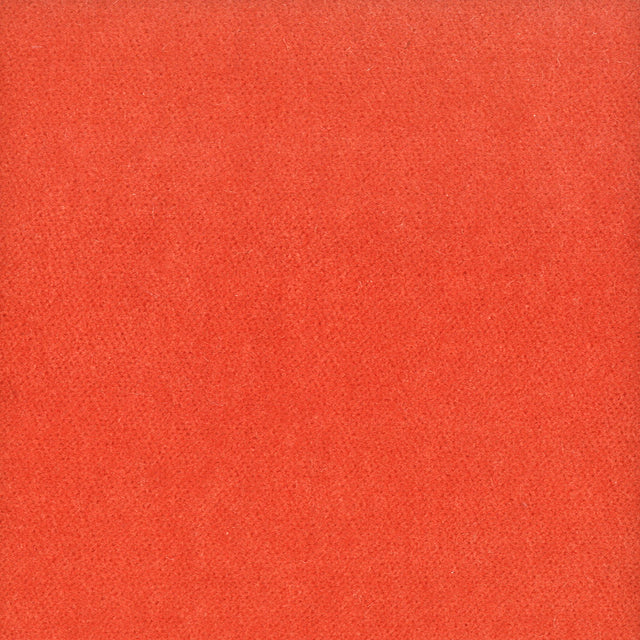 Eade's MOOR-36-sample TIGERLILY