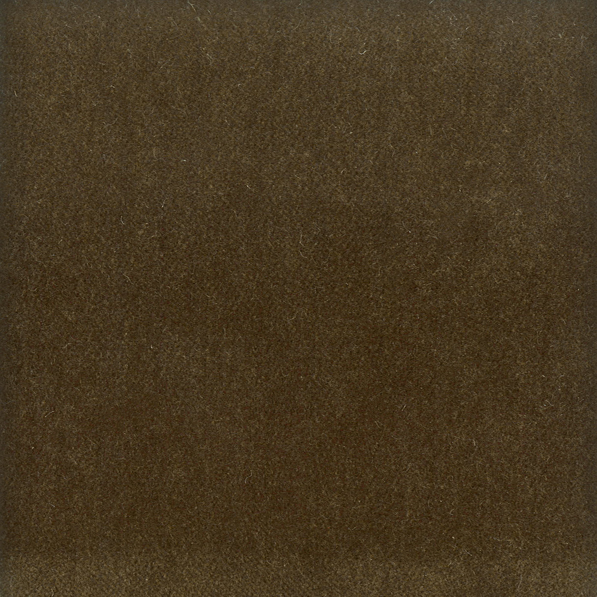 Eade's MOOR-6-sample TWIG