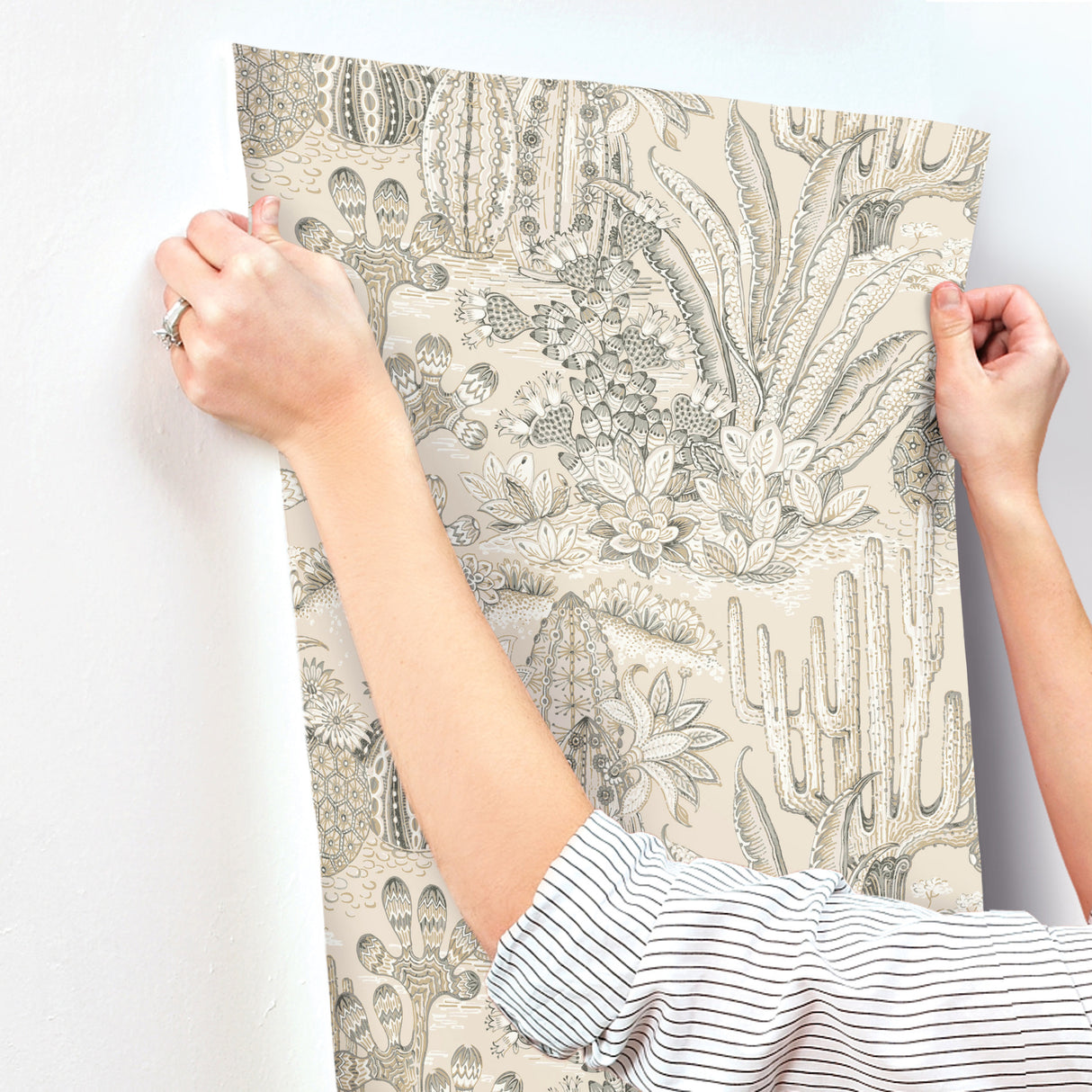 York MT5633 Lotus Land Cacti Dune Wallpaper - Eade's Wallpaper