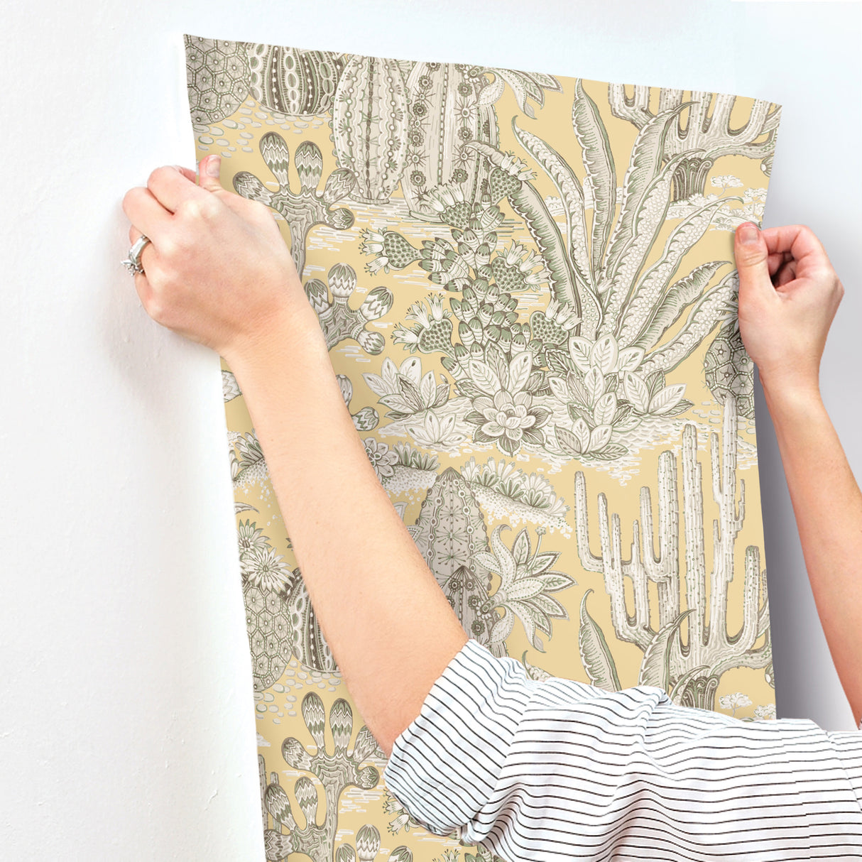 York MT5635 Lotus Land Cacti Sunshine Wallpaper - Eade's Wallpaper