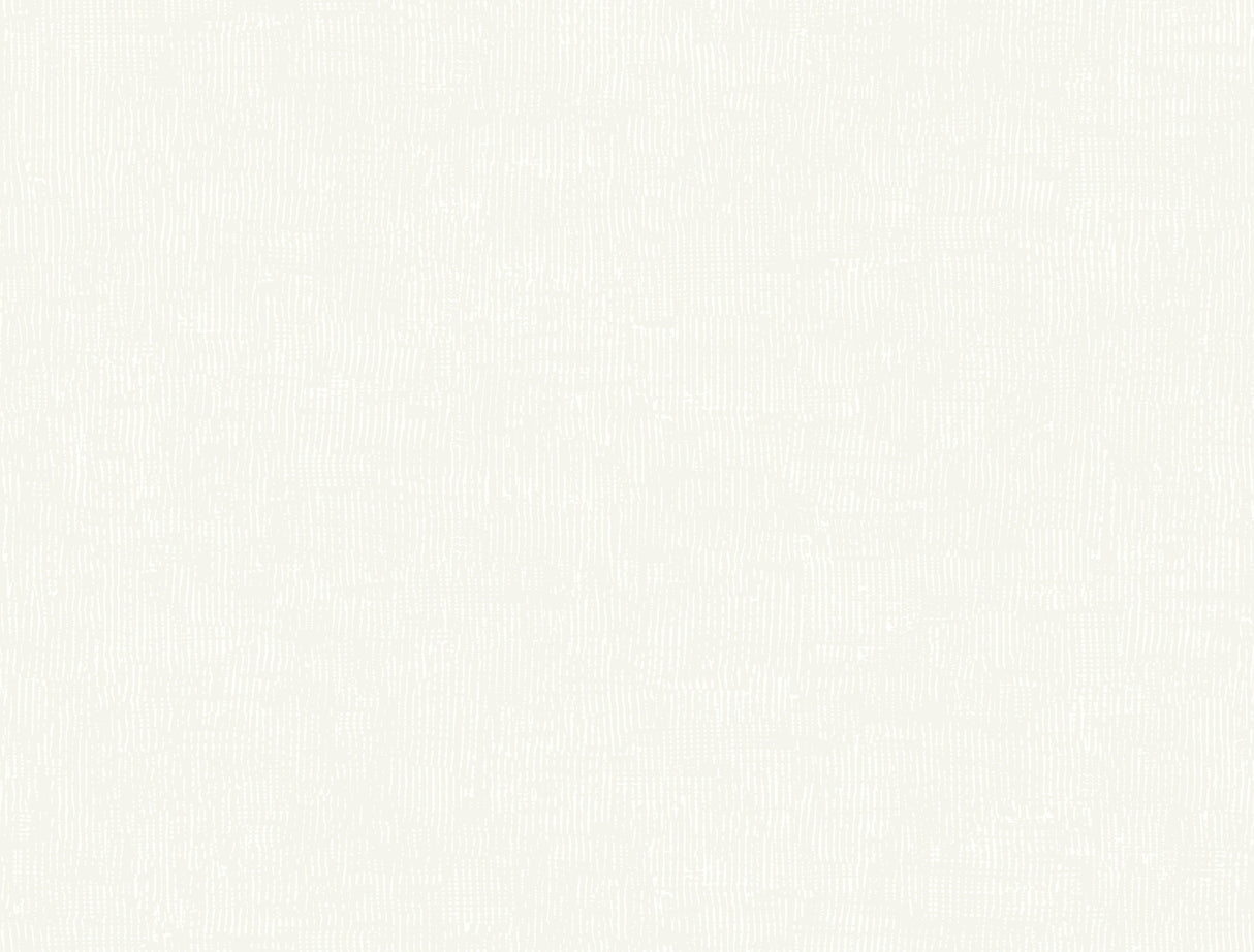 York MT5662 Trabadillo Plaster Plaster Wallpaper - Eade's Wallpaper