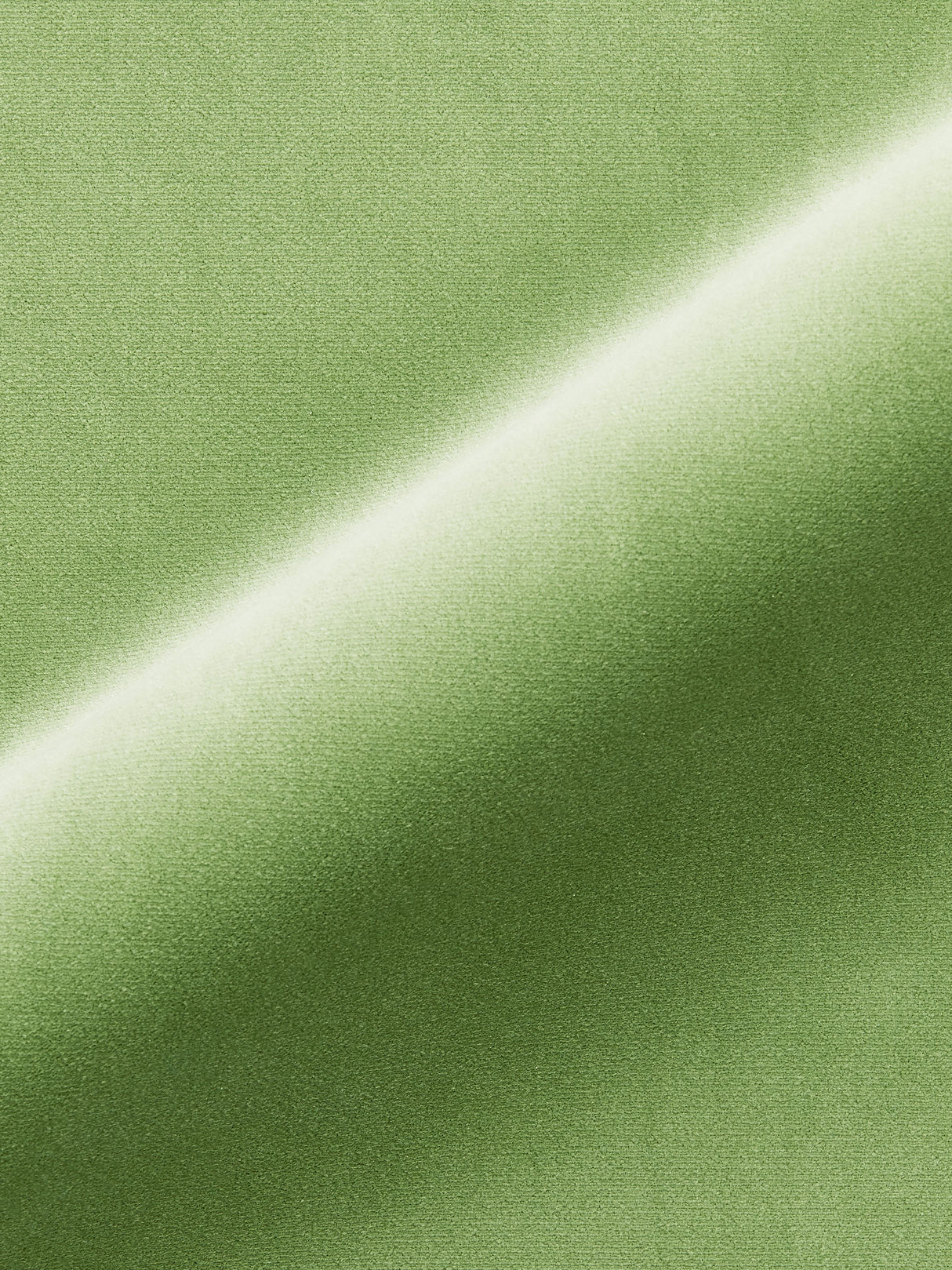 Scalamandre MT 00161247 MEADOW TORINO VELVET Fabric - Eade's Wallpaper