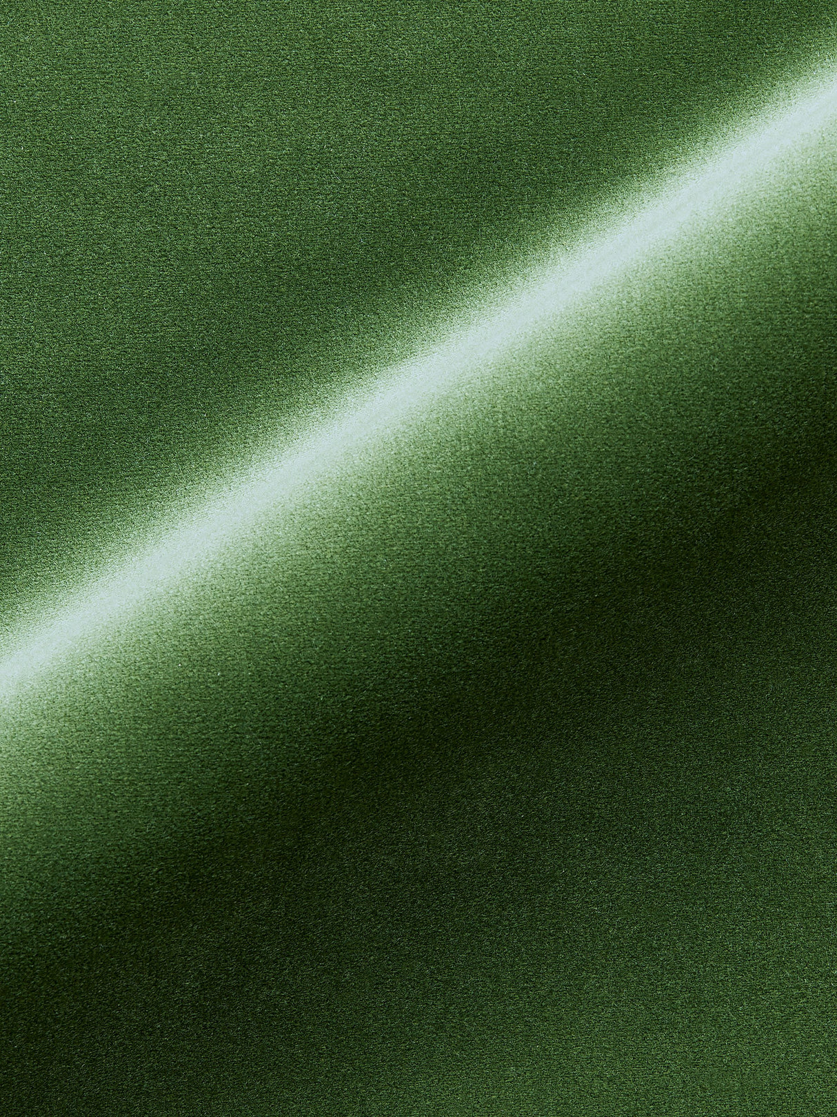 Scalamandre MT 00191247 JUNGLE TORINO VELVET Fabric - Eade's Wallpaper