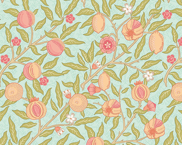 Eade’s Fruit and Foliage Apricot